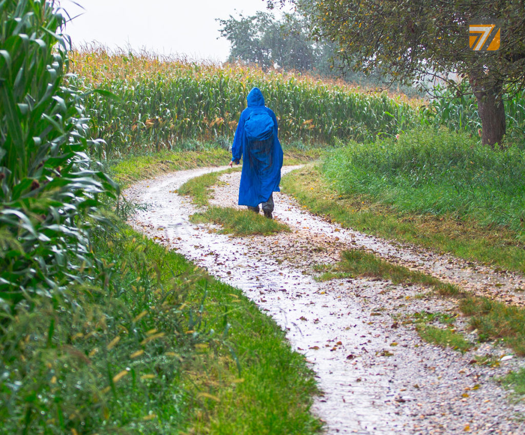 calzado y vestuario de trabajo impermeable